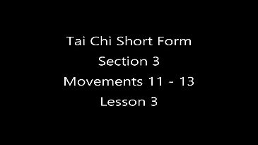 Tai Chi Section Three - Lesson 3
